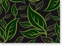 Green Floral Pattern